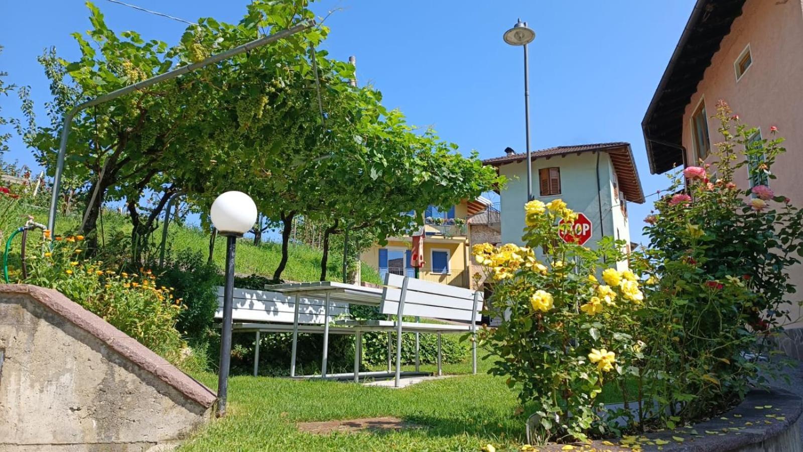 Appartamento Belasi-Brenta カンポデンノ エクステリア 写真
